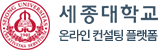세종대학교 온라인 컨설팅 플랫폼